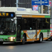 Z-V295