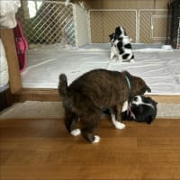 予約が入りました