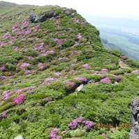 阿蘇中岳・高岳東峰　 6月1日(日)