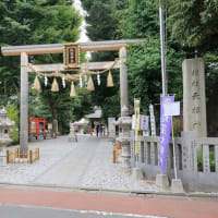 蛇窪神社の茅の輪くぐり