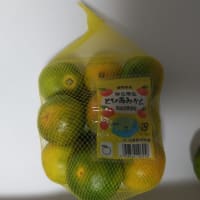 歴史紀行　食事編　19　早生みかん　