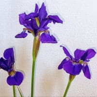 今日いち-2025年5月13日