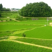 岡山県・久米南町の「別所の棚田」