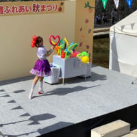 堺めぐり