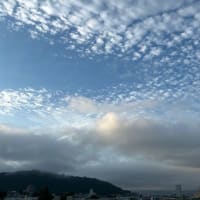風・・・けさは・・・