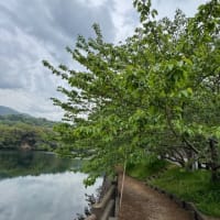 １年ぶりの引越しで高知県へ✨