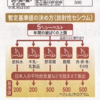 20110910下野新聞　栃木の現状　食の安全特集（５）飲食物の安全基準