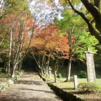 敦賀と奥琵琶湖の歴史を巡る