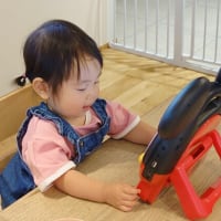 孫に遊んでもらいました！