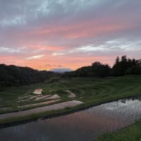 ◆  夕焼け