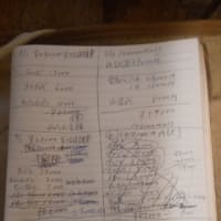そしてやっぱり家計簿バイタル日記