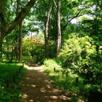 ７０歳の時の自身の思いに、８０歳の今の私は、独り微苦笑して・・。