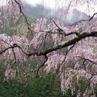 ブログの引っ越しが完了しました！