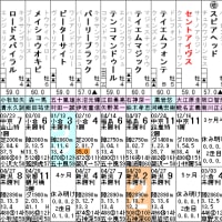 【セントアイヴス】障害デビュー＆転厩初戦！ 5/19新潟4R・出走確定