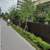 梅ヶ丘はステキな街