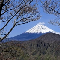 愛鷹山