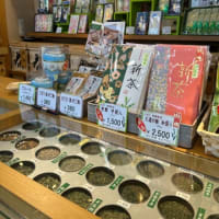 ポーランドからのお客様😊