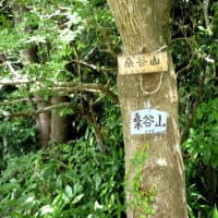 桑谷山
