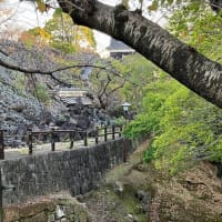 熊本城の”いま”を見る