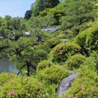 湖東三山　百済寺(ひゃくさいじ）の新緑
