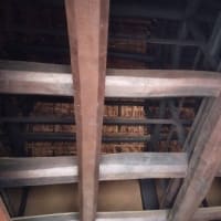 麦とろの日から深大寺参拝に