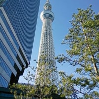ドキドキの１日～ＴＯＫＹＯ～