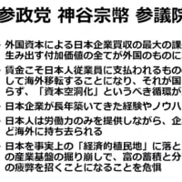 神谷宗幣は本物だね！　武田教授の批判は残念だけどね、政治家には向かないからね　神谷宗幣は「憂国の志士」になれる！　