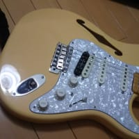 Warmoth Guitarの改造