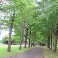 茨城県歴史館周辺を散歩して