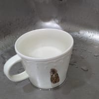 かたつむり