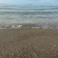 大潮の干潮～いつもは歩いて渡れない立石へ