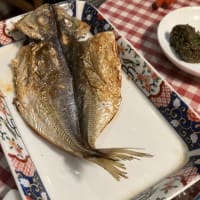 昨日は透析
