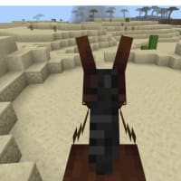 【マイクラ】ネザーまでの道のり~Ver1.16