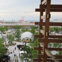 婿殿の厚意にEXPO 2025 大阪・関西万博見学