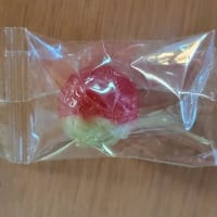 なんと！全部ハズレた。