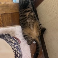 忙しかったのか？