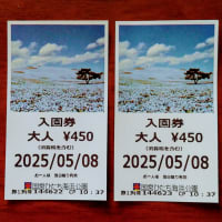 国立ひたち海浜公園に行って来ました。