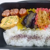 2025.7.7(月)~10(木)のお弁当とパスタなど