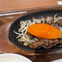 橋本　　　うえすたん 木の葉モール店