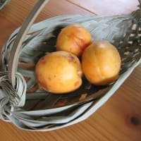 季節の味