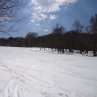 24-25 DAY8 雪が降ったと聞くと、行っちゃうよね