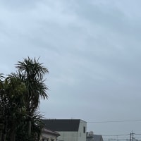 今朝の空(4月7日)