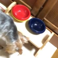 【予定外のクリスマス】
