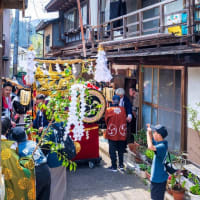 郡上八幡春祭り