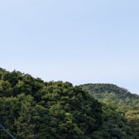 夏越の大祓いを斎行致しました