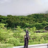 【釣】鮎釣り師の解禁日前夜を経験する