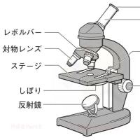 中学全学年理科① 顕微鏡の使い方　JHS biology ~Microscope~