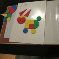 ピグマリオン第二グレードを振り返ってー4歳4ヶ月から5歳1ヶ月の