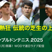 【2025】現在ライブでウインブルドン観戦中！