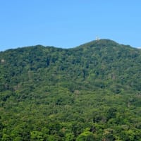 2025.07.07(日)AM07:03の藻岩山・平和祈念塔・手稲山・三角山・円山